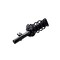 Fcs Struts COMPLETE STRUT ASSEMBLY 1335893L - alternate 5